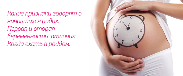 Урок: "Предвестники родов"